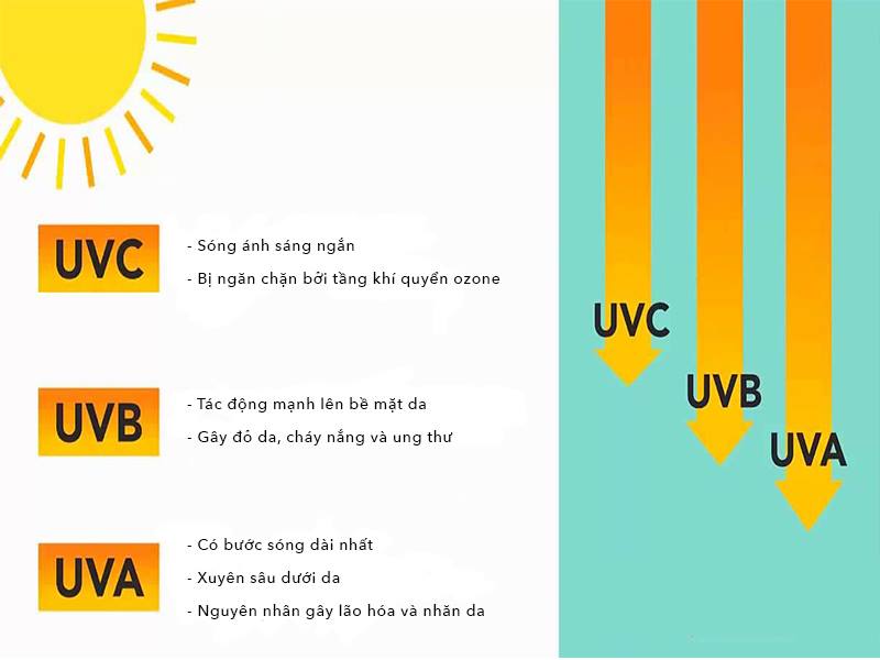 Tia UV là gì? Tia UV có ảnh hưởng đến sức khỏe con người không? 4 tia uv co 3 loai uvauvbuvc